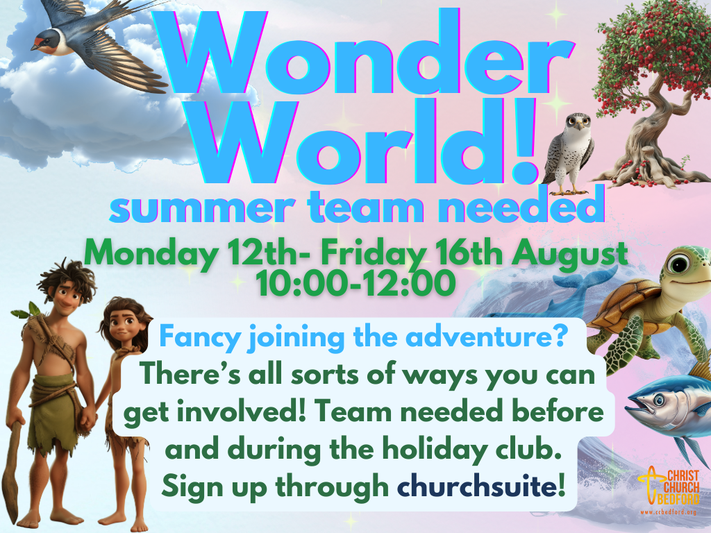 Wonder World Team Advert